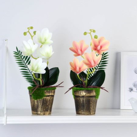 The composition in the pot "Exotic orchid" 9x27 cm, mix-2