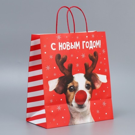 Package Gift craft "Deer you", 28 x 32 x 15 cm, New Year-3