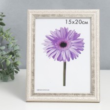 Photo frame plastic Rosa 15x20 cm silver