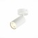 Ceiling lamp ST LUCE. ST303.502.01. 1x50 W, GU10, 10x5.4x16.8 cm, white color