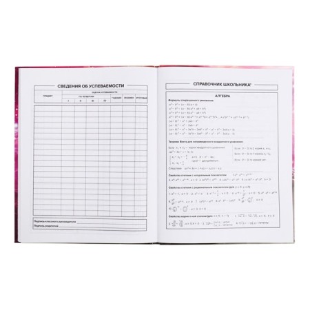 School diary for grades 1-11 Infinity, covered cardboard, glossy lamination, foil embossing, universal cheat sheet, 48 sheets, block 65g/m2-8