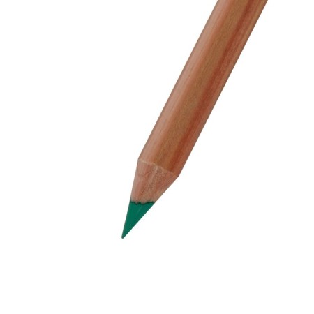Pastel dry in a pencil Koh-I-Noor Gioconda 8820/16 Soft Pastel, light green chrome-2