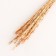Set of dried flowers "Raigrace", banch 21 pcs, length 60 (+/- 6 cm), orange