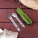 A set of tourist "Forester" 5V1 in a case: corkscrew, opener, knife, spoon, fork