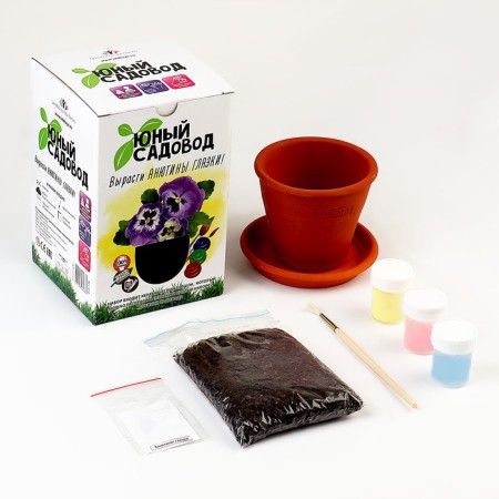 Set "Young Gardener" "Anyutin Eyes"