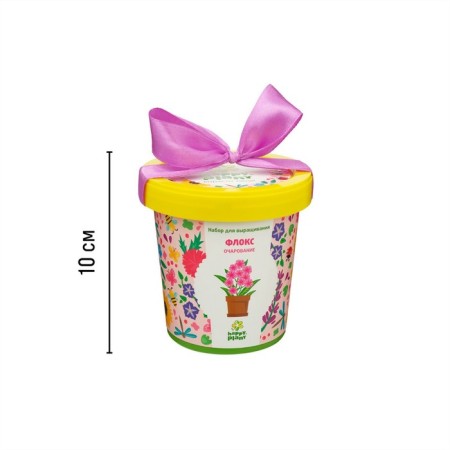 Set for creativity "Pot" Flox Charm "-6