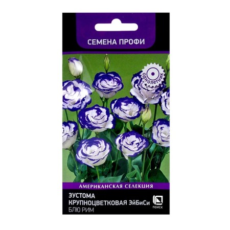 Eustoma flower seeds large -flowered Eibisi Blue Rome, 10pcs