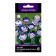 Eustoma flower seeds large -flowered Eibisi Blue Rome, 10pcs
