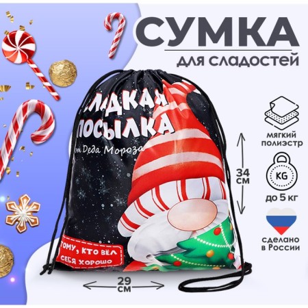 New Year. Bag for sweets 290 x 340 mm "Parcel from Santa Claus" (soft polyester density 210d)