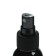 AGATELLINE SILVERLINE CAPUCHINO 100 ml, spray