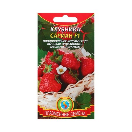 Strawberries "Sarian" F1, 4 pcs