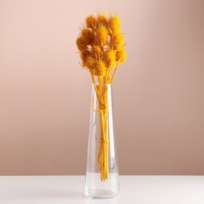 A set of dried flowers 
