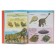 Big illustrated encyclopedia