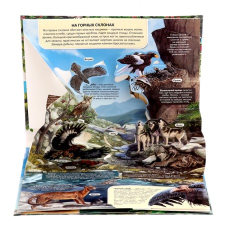 3D Encyclopedia-paranoramka "Predators"-2