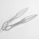 Hasan forceps