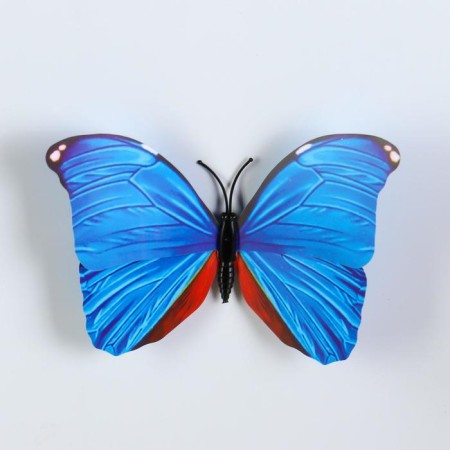 Magnet Plastic "Polored butterfly" mix 8x10 cm-2