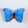 Magnet Plastic "Polored butterfly" mix 8x10 cm