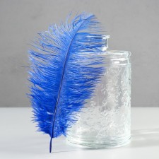 Feather of ostrich 25-30 cm, blue