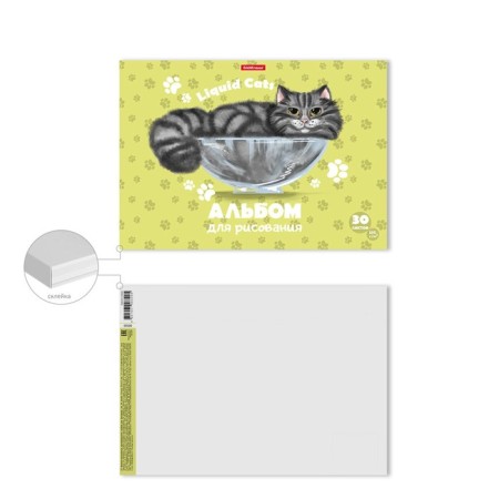 Album for drawing A4, 30 sheets, Erichkrause, liquid cats, on glue-1