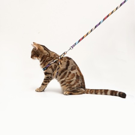 The ammunition set is two-layer, size S, leash 120 x 1 cm, Osh 24-38 cm, OG 29-41 cm, multi-colored-9