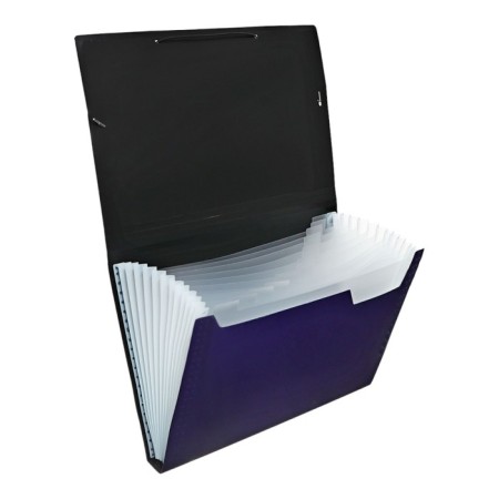 Folder file Calligrata Top Deluxe 13 Department. A4 plastic 1.0mm black. Cut in color-2