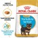 Сухой корм RC Yorkshire Terrier Junior для щенков йоркширского терьера, 500 г