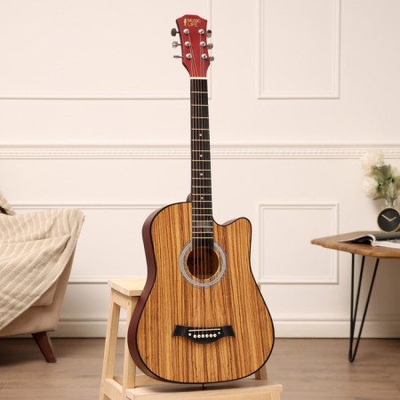 Acoustic guitar Music Life SD-H38Q, light brown