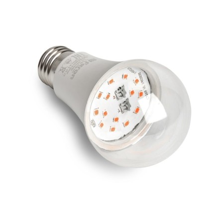 Feron, E27, 15 W, 175-265 V, red-blue lights lamp-2