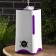 Air humidifier Luazon LHU-07, Ultrasound, 25 W, 3 l, 30 m2, white-lilac