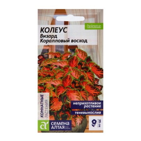 Seed of indoor flowers Koleus "Coral Sunrise", 5 pcs-4