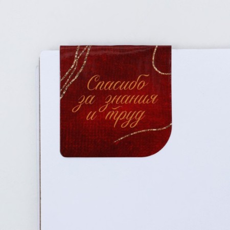 Set "Golden Teacher": Notepad A6, 60 liters. magnetic bookmarks and pen-13