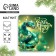 New Year's Wooden Magnet "New Year: Miracles in the New Year", 8 x 8 cm