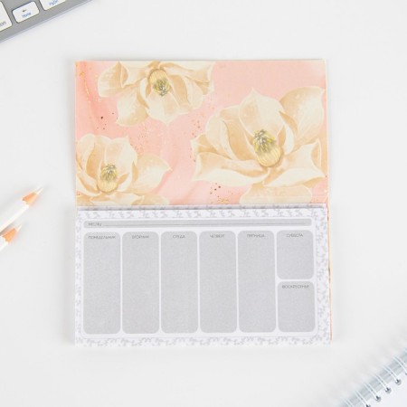 Gift set “Educator: Educator”: planing 50 sheets, A5 diary, 80 sheets, pen, thermostatic-9