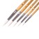 System Synthetics 5 pieces Koh-I-Noor No. 2, 4, 6, 8, 10, round, blister