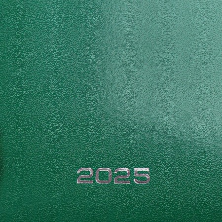 Dated diary 2024, A5, 176 sheets, Attomex.orion, Bumvinyl cover, Lasse, Blok 70 g/m2, Green-1