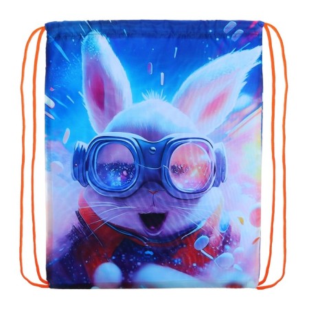 A bag for shoes 420 x 340 mm, Calligrata MSO-5C, (soft polyester, density 210D), "Fluffy Friend Hare"-1