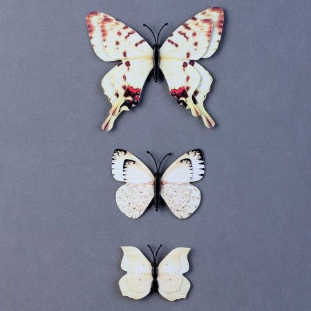 Set for decorating "Butterflies", 12 pcs, with black inserts, white color-2