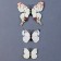 Set for decorating "Butterflies", 12 pcs, with black inserts, white color