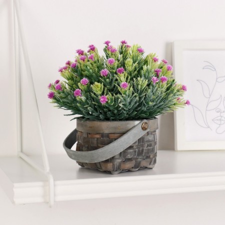 Bonsai "Delicate flowering in the basket" 9x13 cm, mix