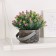 Bonsai "Delicate flowering in the basket" 9x13 cm, mix