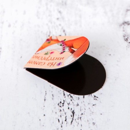 Magnetic bookmarks on the substrate "Your Happiness", 6 pcs-2