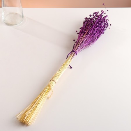 Set of dried flowers "Lenon-long-tuned", banch length 55-60 (+/- 6 cm), purple-3