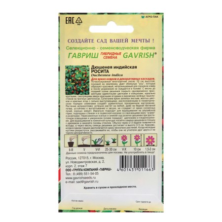 Dyusita seeds "Rosita", 15 pcs.-1