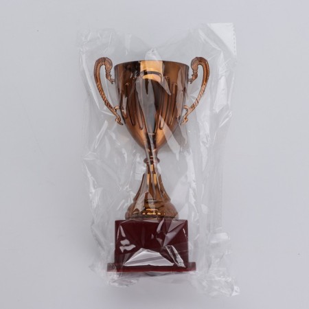 Cup 045, award figure, bronze, plastic stand, 20 x 10.6 x 8 cm.-6