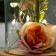 Non-chick "Pion Small" LED from 3xlr1130 batteries pink-beige 9.5x9.5x16.5 cm Risalux 736365