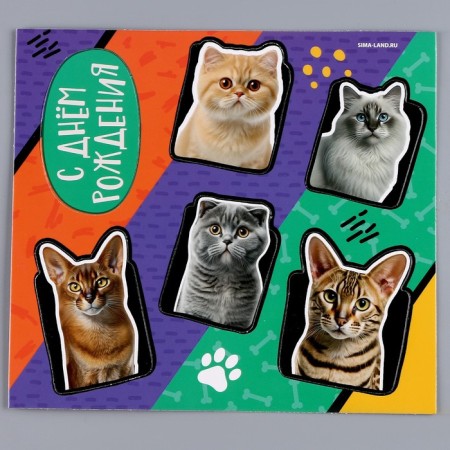 Topper cardboard on a substrate with a wire "cats"-3