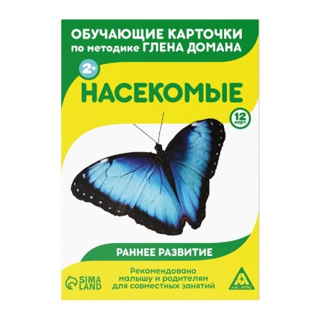 Educational cards according to the method of Glena Doman "insects", 12 cards, A6, 2+-4