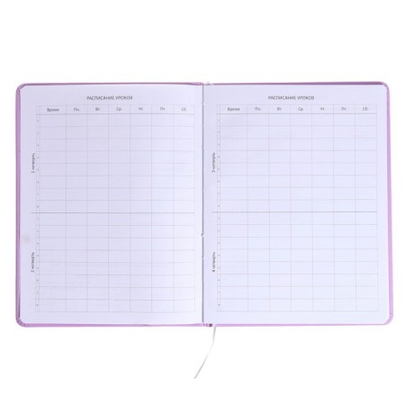 Universal diary for grade 1-11 "Mordashka.fanda", hard cover, artificial leather, foam rubber, liesse, 80 g/m2-4