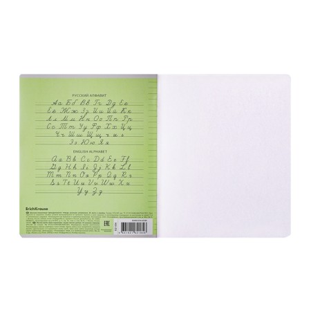Notebook of 24 sheets in the Erichkrause cage "Coverpro Classic", plastic cover, green-8