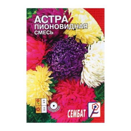 Seeds of flowers Astra Pionovid, mixture, 0.2 g
